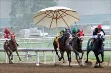Jockeys, Horses OK After Picnic Umbrella Blows Onto Track Jockeys, Horses OK After Picnic Umbrella Blows Onto Track