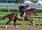Firing Line at Churchill Downs 4.29.15.