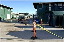 Pimlico Considers Lifting Quarantine Feb. 4; Stakes Could Be Rescheduled Pimlico Considers Lifting Quarantine Feb. 4; Stakes Could Be Rescheduled