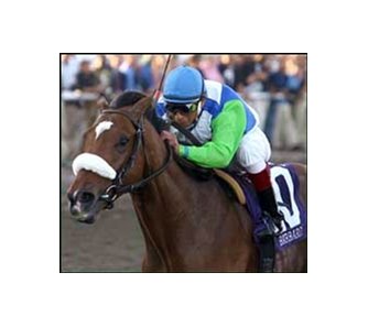 Barbaro made reservations for May 6 with impressive Florida win.