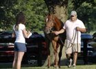 Prospects on display as buyers assess the offerings in this year's Fasig-Tipton July yearling sale.