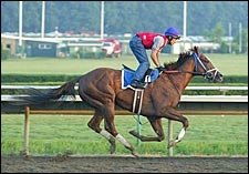 Park Avenue Ball Tunes Up for Haskell; Joey P. Confirmed Park Avenue Ball Tunes Up for Haskell; Joey P. Confirmed