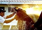 Smarty Jones, "biggest box office draw in New York in a long time."