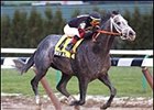 Thunder Blitz wins the Queens County Handicap Saturday at Aqueduct.