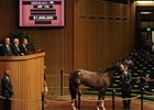 Hip 116 sold for $1 Million dollars during session 2 of the Keeneland September Sale.