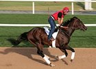 Informed galloping on March 24 in preparation for the Godolphin Mile.