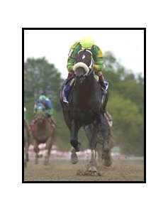 Orientate romps to victory in the Forego Handicap.