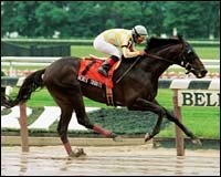 Hero's Tribute Splashes Home With First Stakes Win in Peter Pan Hero's Tribute Splashes Home With First Stakes Win in Peter Pan