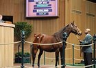 Princess Janie Goes for $330,000 at Keeneland Princess Janie Goes for $330,000 at Keeneland