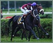 Ibn Al Haitham Finds Home On Saratoga Turf Ibn Al Haitham Finds Home On Saratoga Turf
