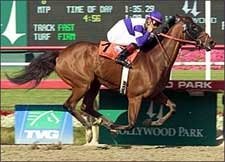 O'Neill's New Star Andujar Shakes Up Milady O'Neill's New Star Andujar Shakes Up Milady