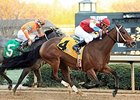Kate's Main Man Outlasts Win Willy in Essex Kate's Main Man Outlasts Win Willy in Essex
