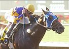 Grade I Winner Kela Retired Grade I Winner Kela Retired