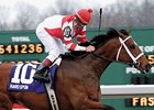 Grade I winner Hard Spun, one of 5 winners produced by Turkish Tryst.