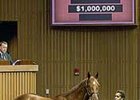 Upswing Continues at Keeneland; Girl Warrior Brings $1 Million Upswing Continues at Keeneland; Girl Warrior Brings $1 Million
