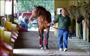 Aggressive Treatment Key to Afleet Alex's Recovery Aggressive Treatment Key to Afleet Alex's Recovery