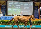 Sweet Idea sold for Aus$1,600,000 (US$1,240,117).