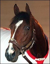 Steve Haskin's Derby Report: Day of Reckoning Draws Near Steve Haskin's Derby Report: Day of Reckoning Draws Near