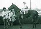 Ladies Handicap Long on History Ladies Handicap Long on History