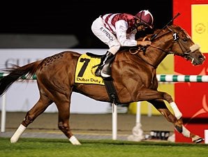 Al Shemali Pulls Duty Free Shocker Al Shemali Pulls Duty Free Shocker