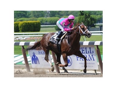 Front-running Carolyn's Cat wins the Vagrancy at Belmont Park.<br><a target="blank" href="http://www.bloodhorse.com/horse-racing/photo-store?ref=http%3A%2F%2Fpictopia.com%2Fperl%2Fgal%3Fprovider_id%3D368%26ptp_photo_id%3D8149429%26ref%3Dstory">Order This Photo</a>