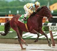Beautiful Pleasure Retired After Sixth in Beldame Beautiful Pleasure Retired After Sixth in Beldame