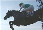Praise the Prince, seeks second straight New York Turf Writers Cup victory.