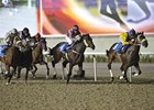 Meydan Trials Held in Advance of Carnival Meydan Trials Held in Advance of Carnival