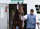 Blame arrives at Belmont on October 1.