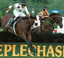 Ninepins Upsets Campanile in Turf Writers Cup Ninepins Upsets Campanile in Turf Writers Cup