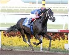 Bandini Sets Gulfstream Mark in Return Bandini Sets Gulfstream Mark in Return