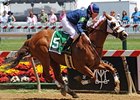 Small Wins Pimlico's Third Lady Legends Race Small Wins Pimlico's Third Lady Legends Race