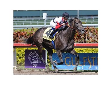 Warbling gate to wire for jockey Julien Leparoux in the Inside Information Stakes at Gulfstream Park.<br><a target="blank" href="http://www.bloodhorse.com/horse-racing/photo-store?ref=http%3A%2F%2Fpictopia.com%2Fperl%2Fgal%3Fprovider_id%3D368%26ptp_photo_id%3D8840024%26ref%3Dstory">Order This Photo</a>