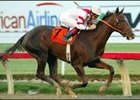 Starlet Just 'Splendid' for Drysdale Starlet Just 'Splendid' for Drysdale