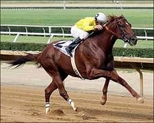 Bright One Keeps Rolling in West Virginia Derby Bright One Keeps Rolling in West Virginia Derby