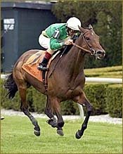 Lilac Queen Romps to Victory in Bewitch Lilac Queen Romps to Victory in Bewitch