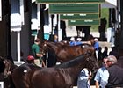 Keeneland September Yearling Sale