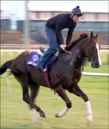 Domestic Dispute, Royal Regalia Prep for Mile Domestic Dispute, Royal Regalia Prep for Mile