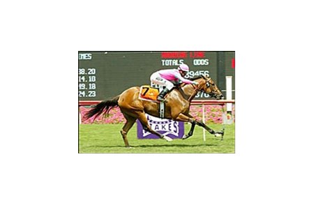 Ticker Tape wins the American Oaks, Saturday at Hollywood Park.