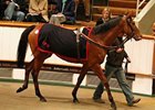 Jacqueline Quest topped the third day of the Tattersalls December Mare Sale at 600,000 guineas.