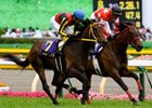 Red Desire edged out favorite Buena Vista in the $2 million Shuka Sho (Jpn-I) at Kyoto Race Course.