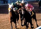 Day, Cordero and Pincay at Meadowlands Day, Cordero and Pincay at Meadowlands