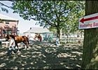 Signage at Belmont Park, indicating location of the race-day detention barns.