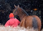 Keeneland 2011 January Sale