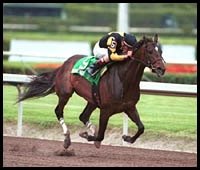 Miss Linda Starts 2002 With Sabin Victory Miss Linda Starts 2002 With Sabin Victory