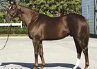 Millionaire Tenpins Sires Initial Winner Millionaire Tenpins Sires Initial Winner