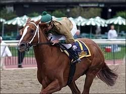 India Cruises to Victory in Cotillion Handicap India Cruises to Victory in Cotillion Handicap