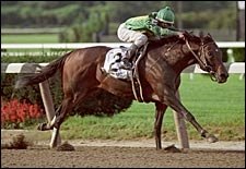 Mineshaft Runs Away With Horse of the Year Honors Mineshaft Runs Away With Horse of the Year Honors