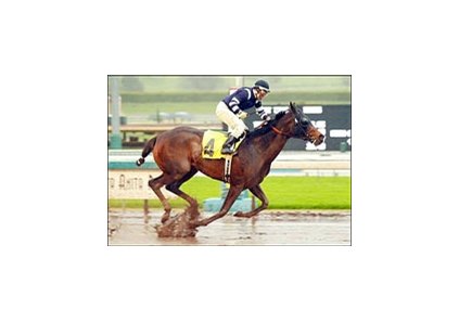 Fencelineneighbor, with jockey Luis Jauregui, runs to the win in the San Gorgonio Handicap, Saturday at Santa Anita.