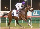 Victory Moon Wins and Other Dubai Racing Action Victory Moon Wins and Other Dubai Racing Action